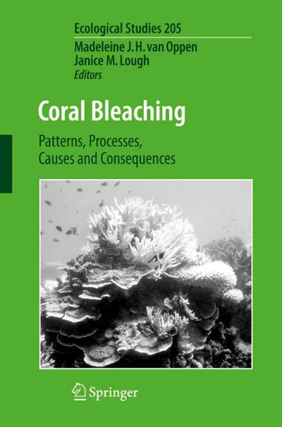 Coral Bleaching