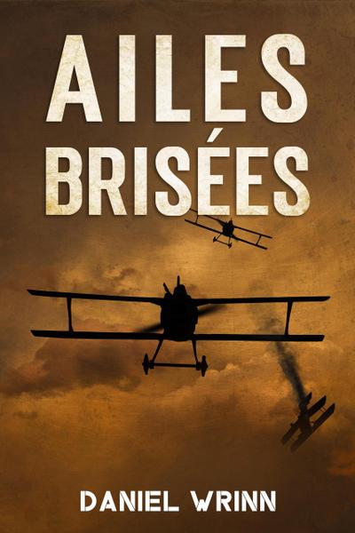 Ailes Brisées (La Grande Guerre Série)