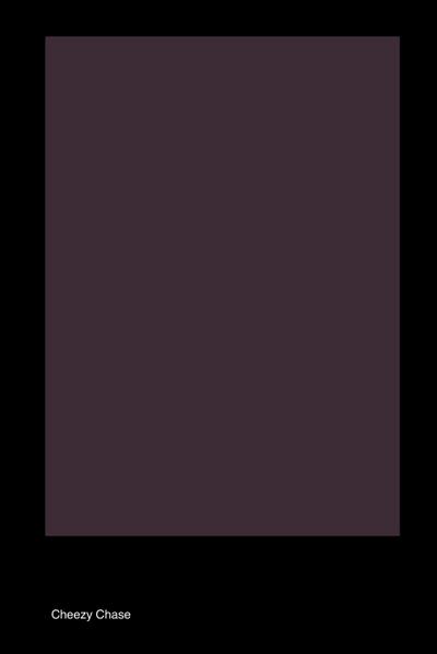 Chase, C: Story of the book called ’How to Beat a Sorority S