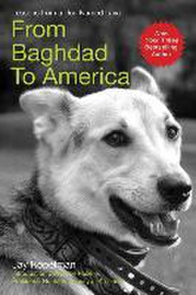 From Baghdad to America