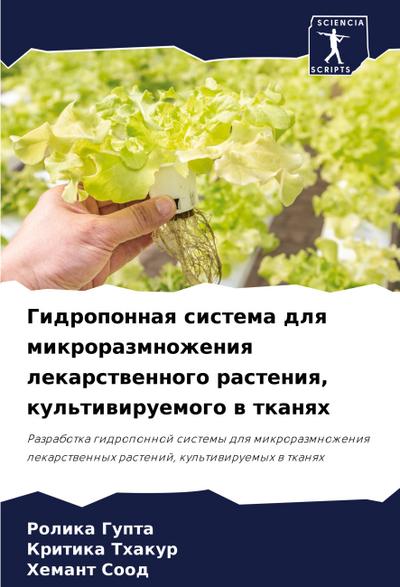 Gidroponnaq sistema dlq mikrorazmnozheniq lekarstwennogo rasteniq, kul’tiwiruemogo w tkanqh