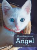 The Adventures of Angel