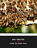 How to Keep Bees