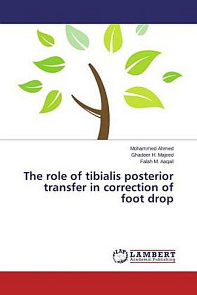 The role of tibialis posterior transfer in correction of foot drop