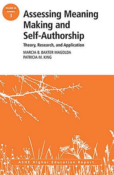 Assessing Meaning Making and Self-Authorship