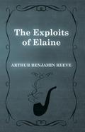 The Exploits of Elaine