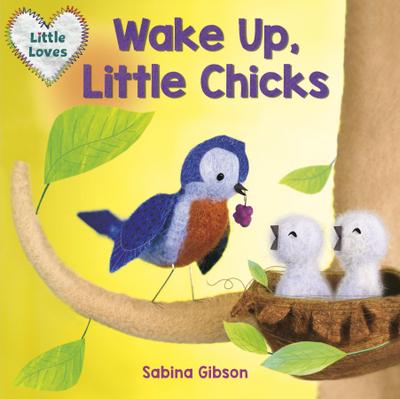Gibson, S: Wake Up, Little Chicks!