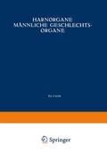 Harnorgane Männliche Geschlechtsorgane