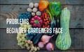 Problem Beginner Gardners Face