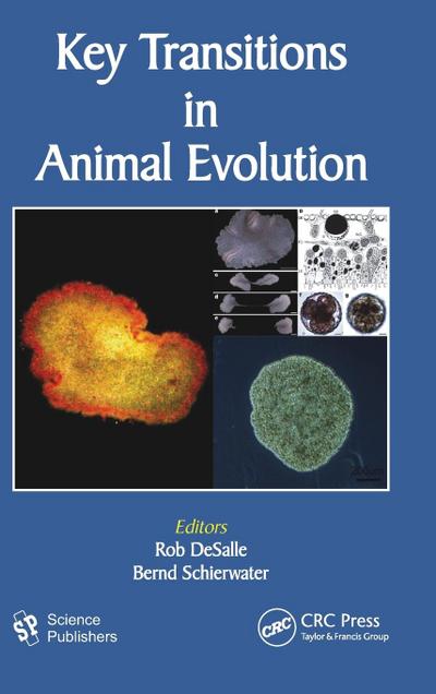 Key Transitions in Animal Evolution