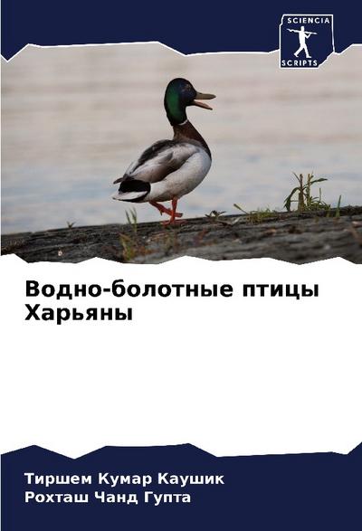 Vodno-bolotnye pticy Har’qny