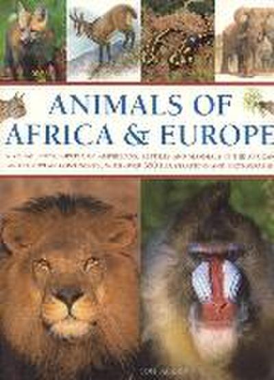 Animals of Africa and Europe