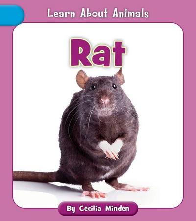 Rat