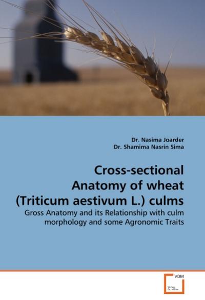 Cross-sectional Anatomy of wheat (Triticum aestivum L.) culms
