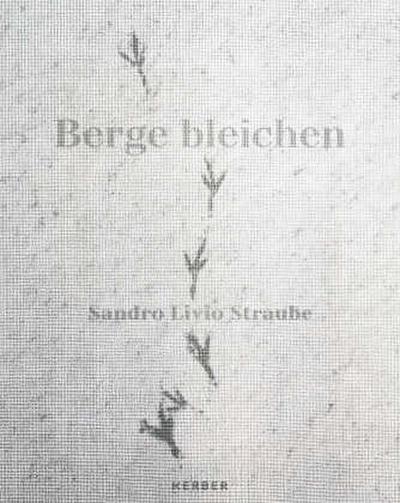 Sandro Livio Straube