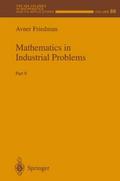 Mathematics in Industrial Problems
