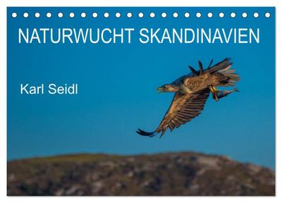 Naturwucht Skandinavien (Tischkalender 2024 DIN A5 quer), CALVENDO Monatskalender