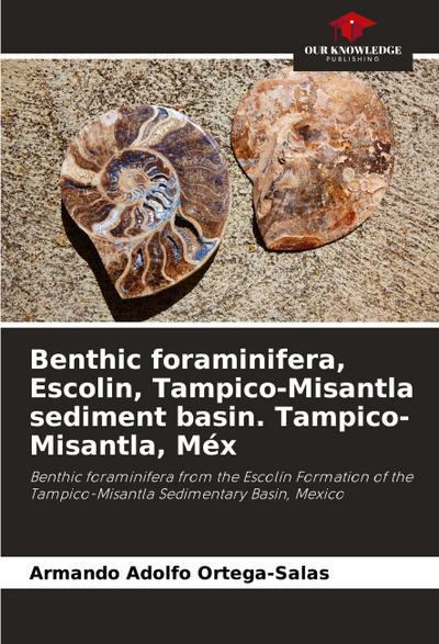 Benthic foraminifera, Escolin, Tampico-Misantla sediment basin. Tampico-Misantla, Méx
