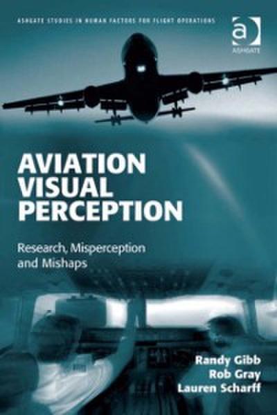 Aviation Visual Perception