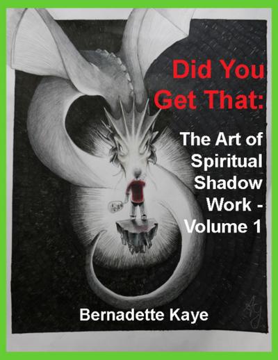 Did You Get That: The Art of Spiritual Shadow Work - Volume 1