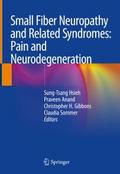 Small Fiber Neuropathy and Related Syndromes: Pain