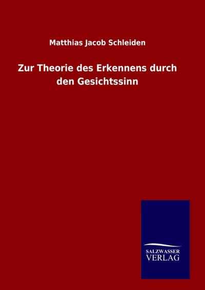 Zur Theorie des Erkennens durch den Gesichtssinn