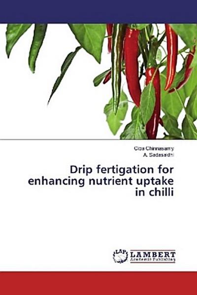 Drip fertigation for enhancing nutrient uptake in chilli
