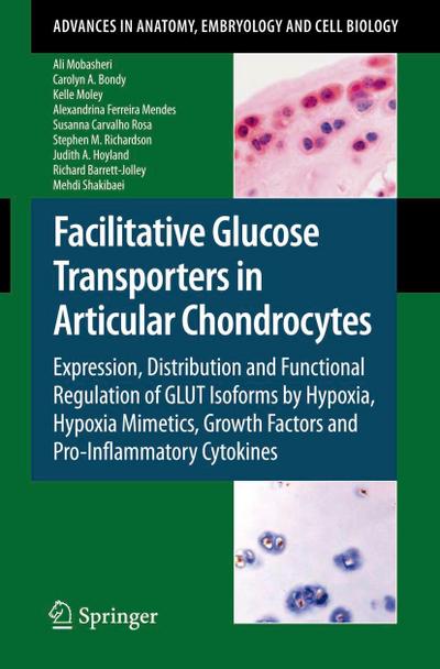 Facilitative Glucose Transporters in Articular Chondrocytes