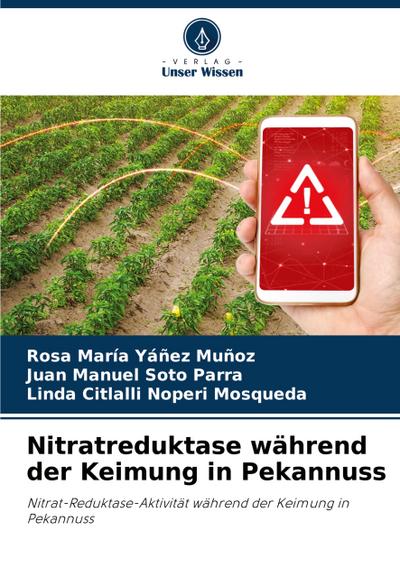 Nitratreduktase während der Keimung in Pekannuss