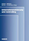 Unternehmensführung und Controlling
