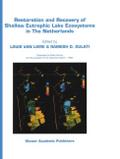 Restoration and Recovery of Shallow Eutrophic Lake