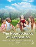 The Neuroscience of Depression
