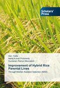 Improvement of Hybrid Rice Parental Lines