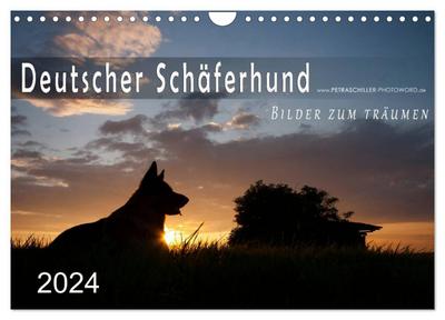 Deutscher Schäferhund / CH-Version (Wandkalender 2024 DIN A4 quer), CALVENDO Monatskalender
