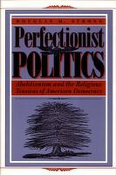 Perfectionist Politics