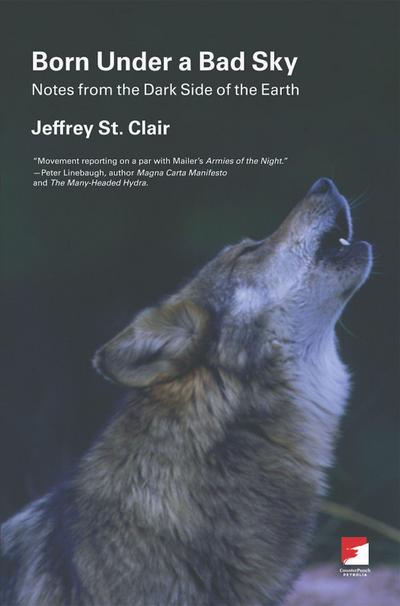 Born Under a Bad Sky