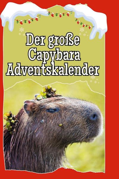 Der große Capybara-Adventskalender