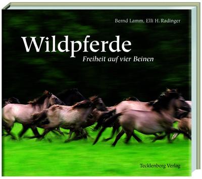 Wildpferde