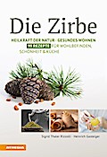 Die Zirbe