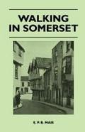 Walking in Somerset