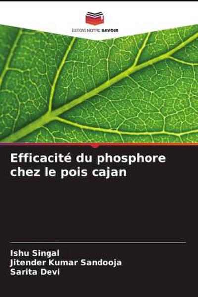 Efficacité du phosphore chez le pois cajan