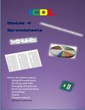 ICDL Spreadhseets (ICDL Certification Series, #4)