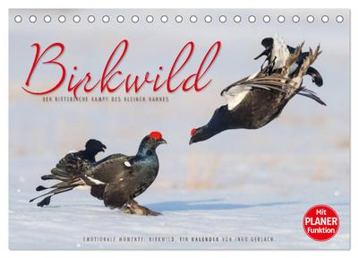 Emotionale Momente: Birkwild (Tischkalender 2024 DIN A5 quer), CALVENDO Monatskalender