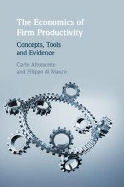The Economics of Firm Productivity