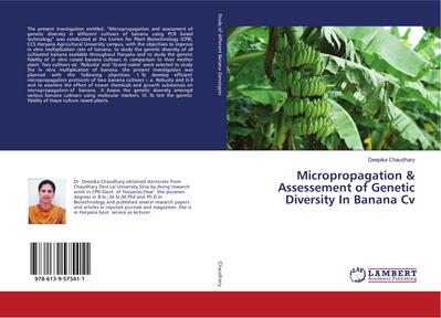 Micropropagation & Assessement of Genetic Diversity In Banana Cv