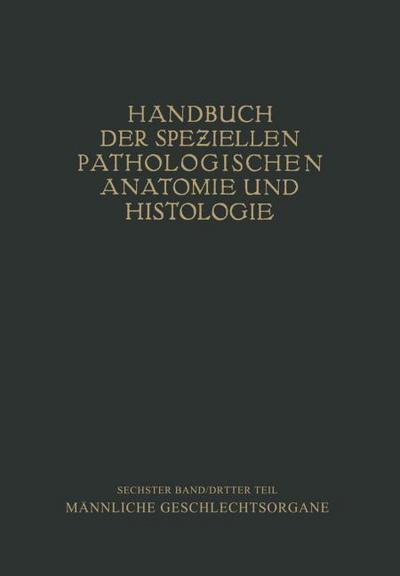 Harnorgane Männliche Geschlechtsorgane