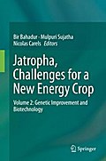 Jatropha, Challenges for a New Energy Crop