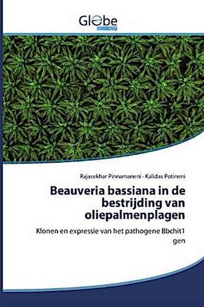 Beauveria bassiana in de bestrijding van oliepalmenplagen
