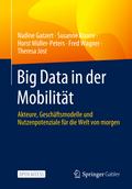 Big Data in der Mobilität
