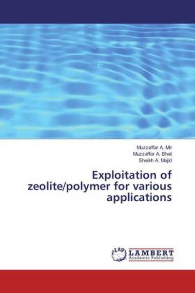 Exploitation of zeolite/polymer for various applications